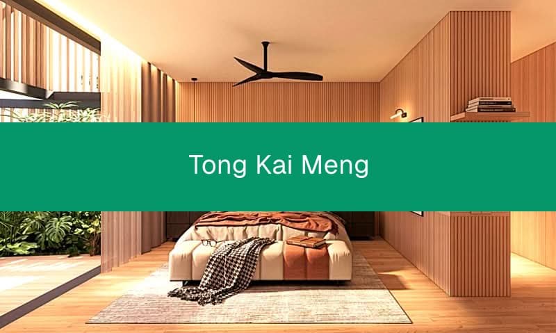 Brand New Freehold 2.5-Storey Semi-D in Newton, Lift & Pool, 1km to ACS Pri & SJI Junior