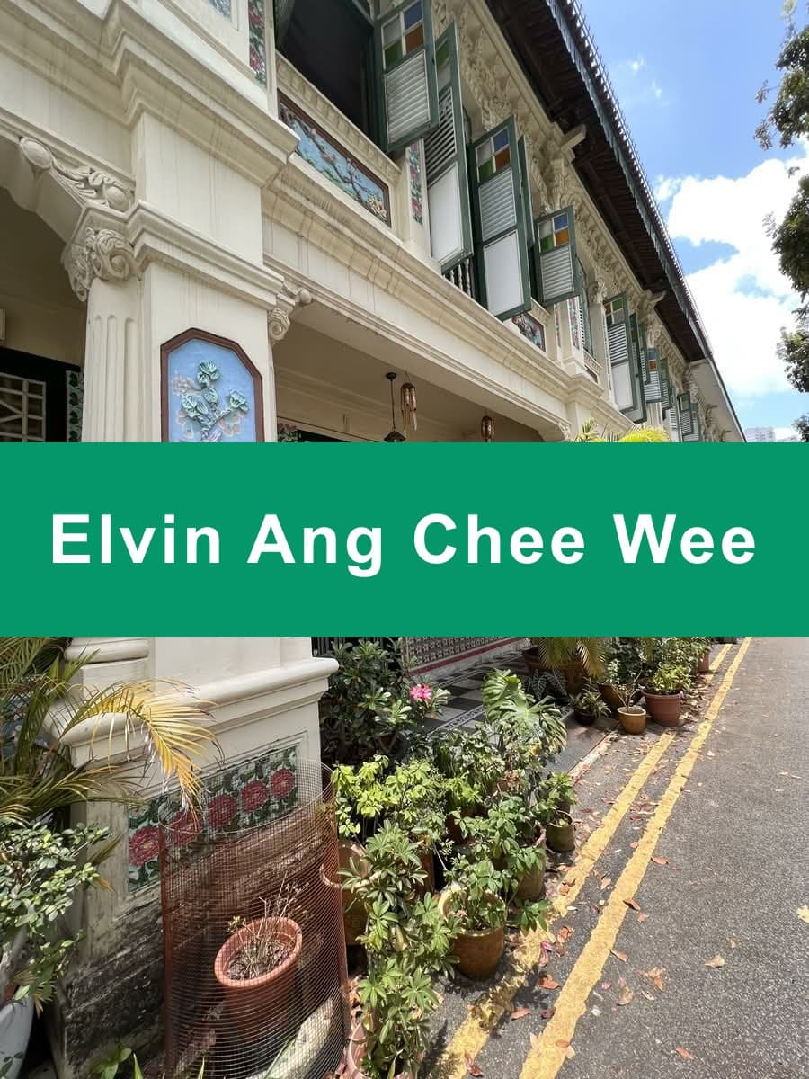 Peranakan Shophouse Level 1 for Rent on Petain Road