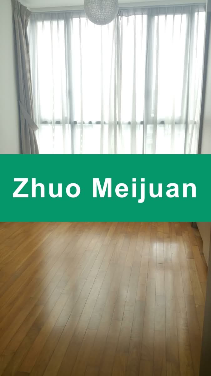 Montebleu 2-Bed Freehold Condo with City View near Novena MRT