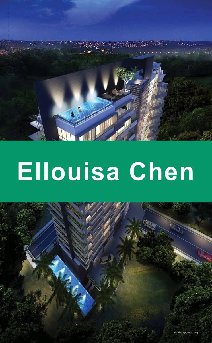 Bliss Loft 1-Bed Fully Furnished Condo Near Novena & Toa Payoh