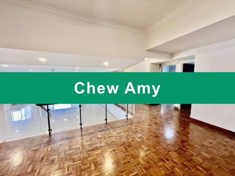Beverly Hill 4-Bed Condo on Grange Road, District 10