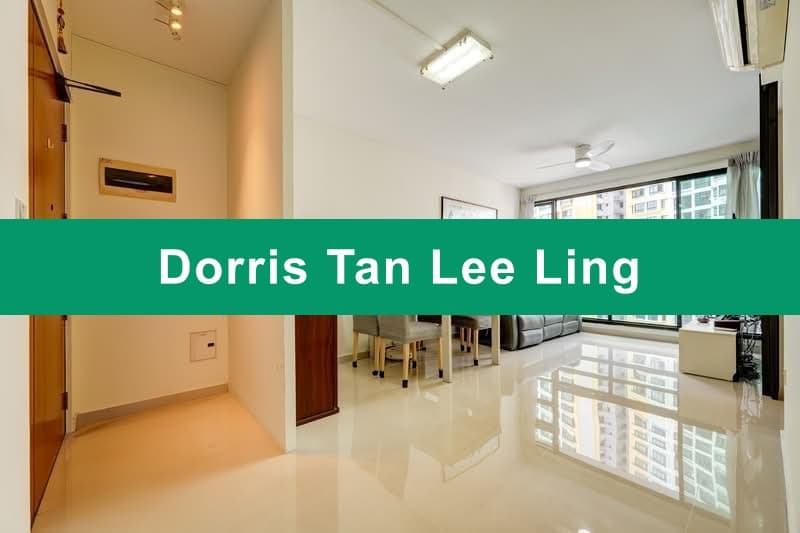 High Floor 4A HDB Flat at Havelock Road with City Views
