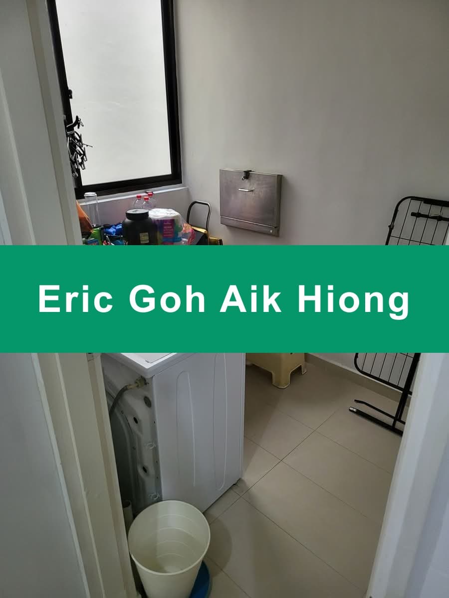 Emerald Park – Renovated 2-Bed + Yard near Tiong Bahru MRT
