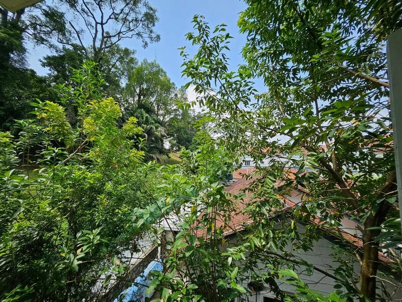 Freehold Bungalow Between Nassim & Fernhill, Prime D9