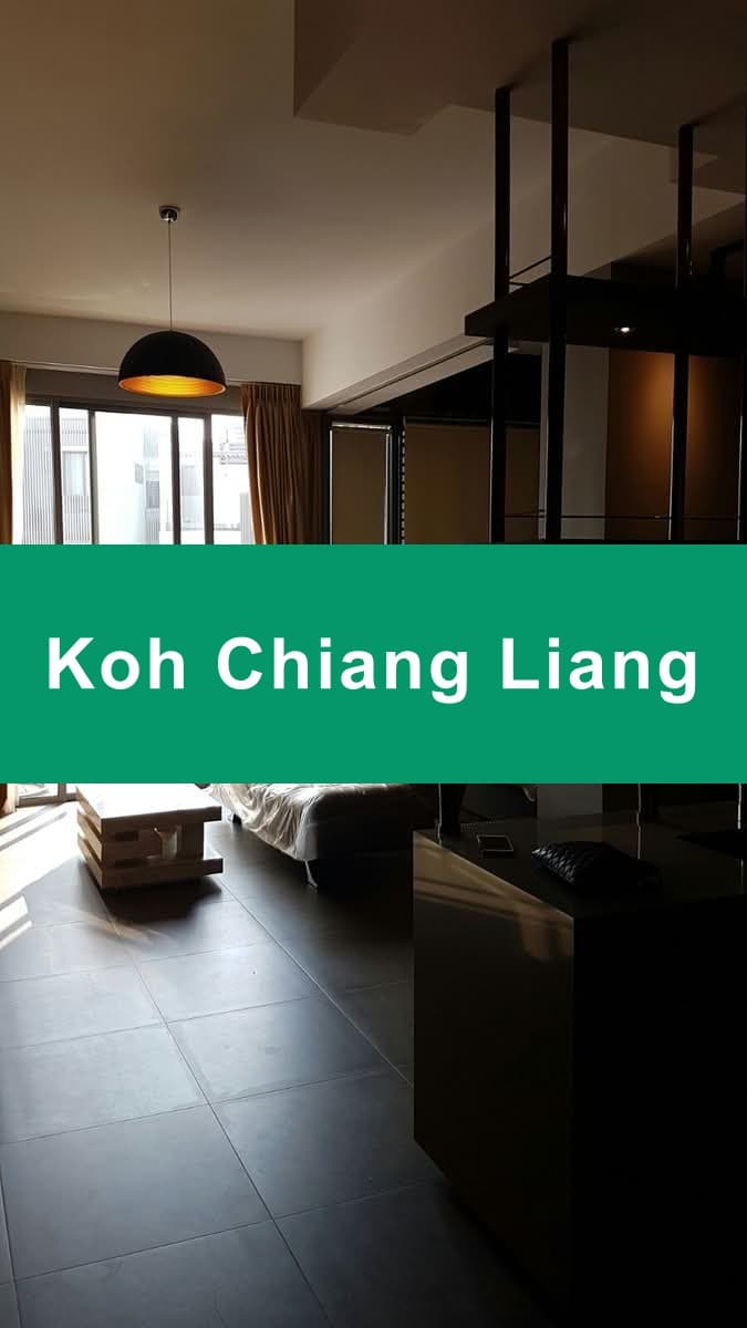 Katong Regency – 1BR Penthouse with Rooftop Terrace, 840 sqft